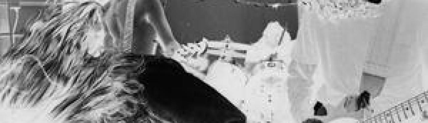 Nirvana tribute: Bleach