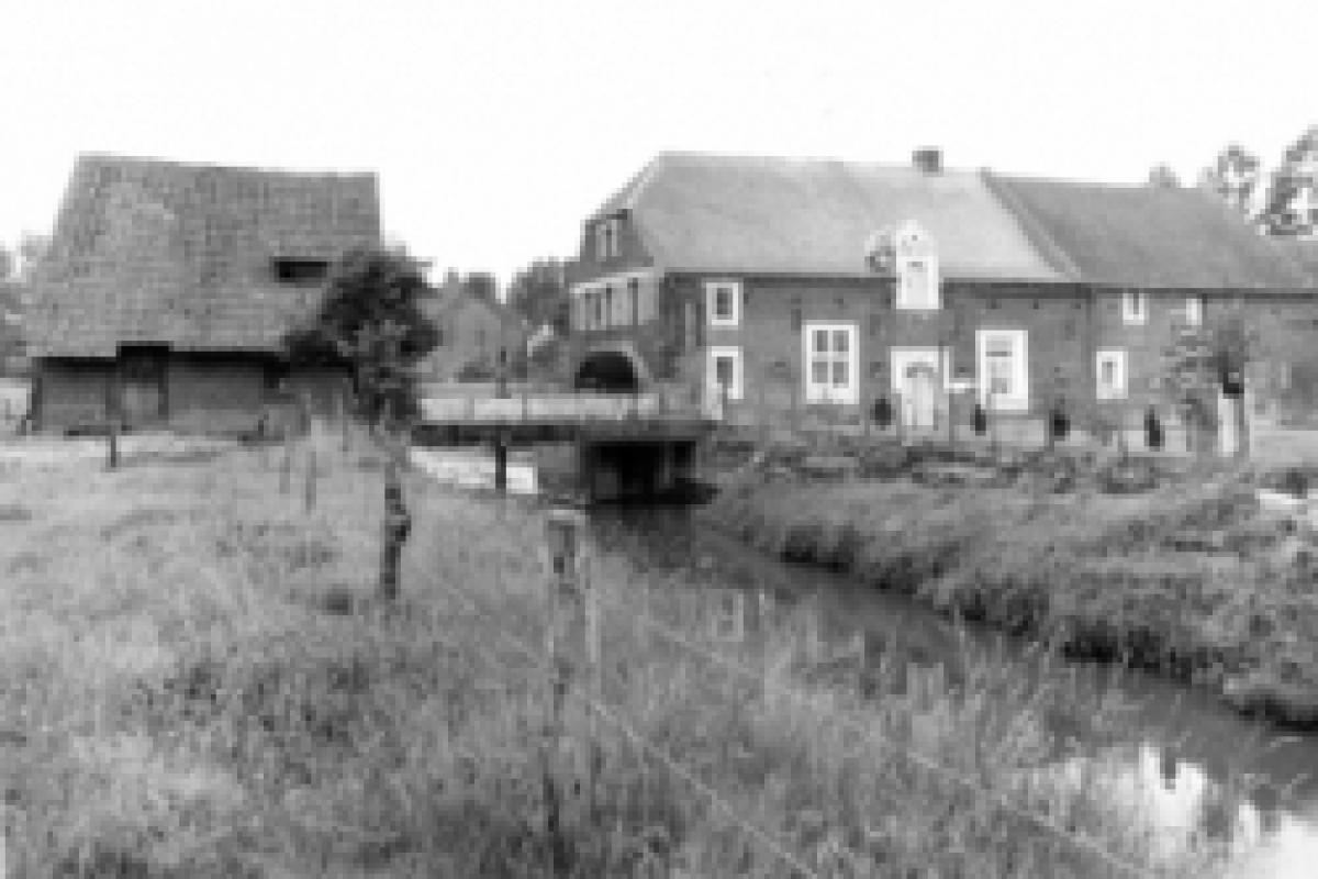 Molen op de Demer