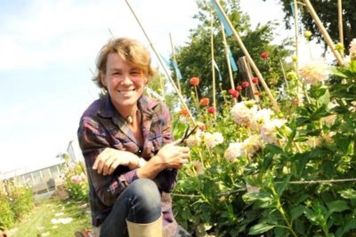 Welke bloemen kies jij?