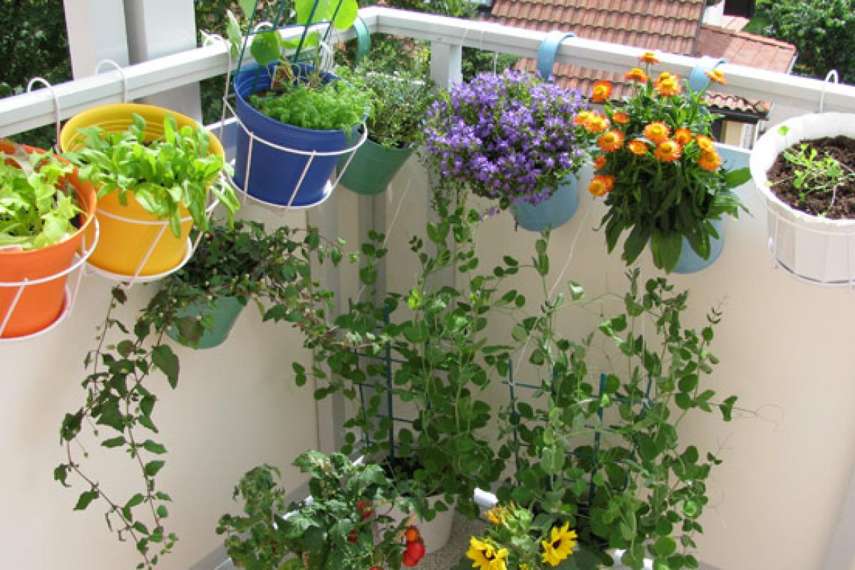 Een groen terras of balkon
