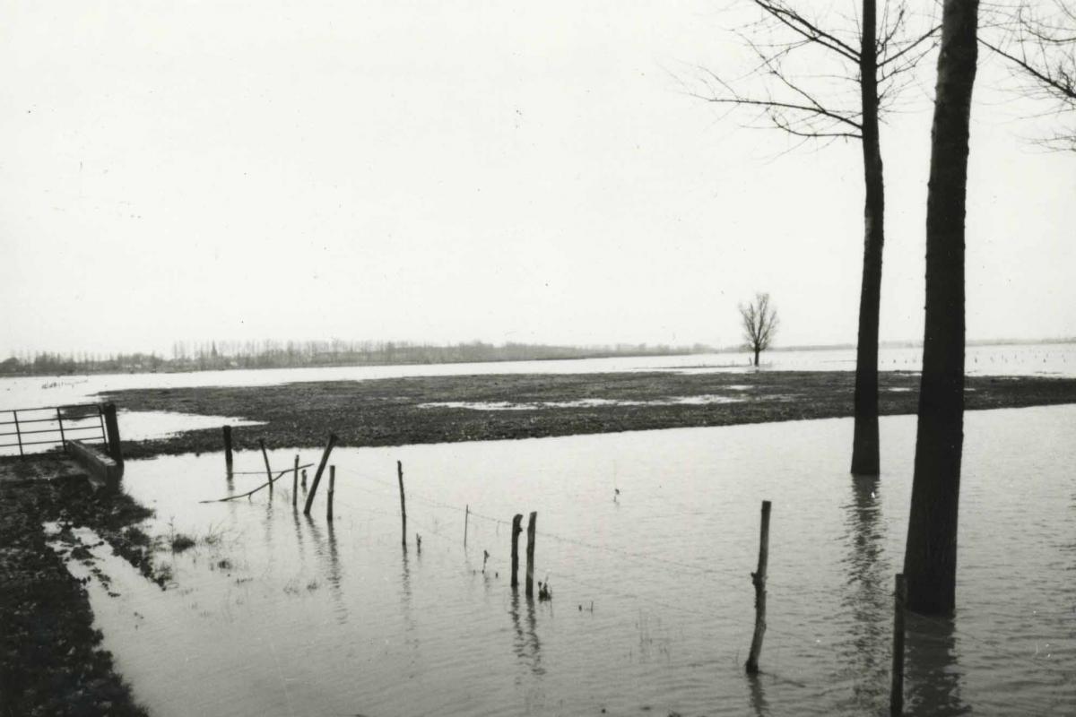 Verdronken broek