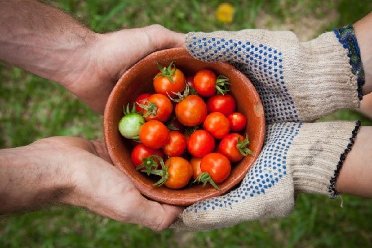 (c) Creative Commons Over gezond eten en duurzame voeding