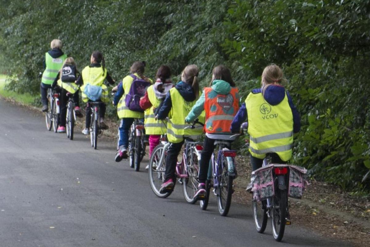  infosessies voor verkeersbegeleiders in groep