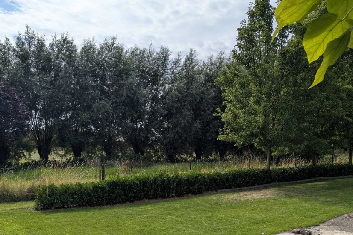 tuin