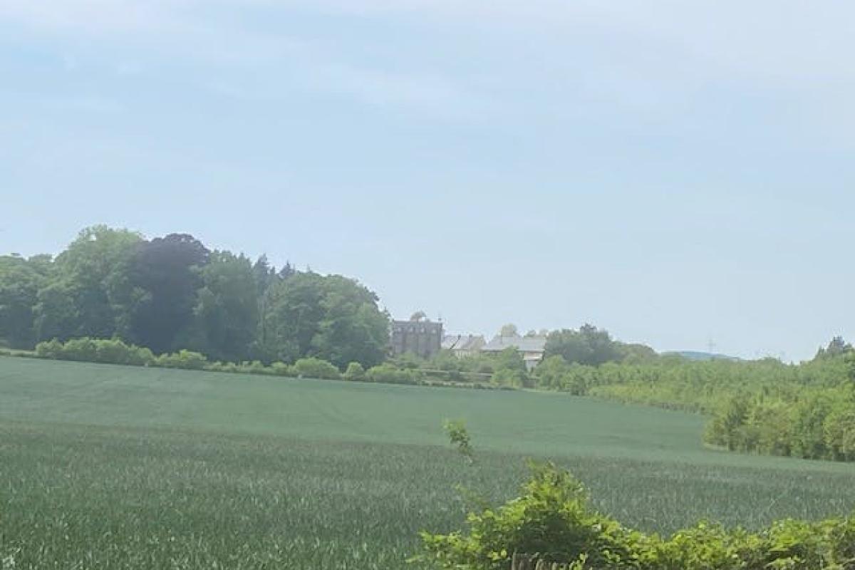 Fietszoektocht door groene landschappen in Herk-de-Stad en omgeving © Toerisme Herk-de-Stad