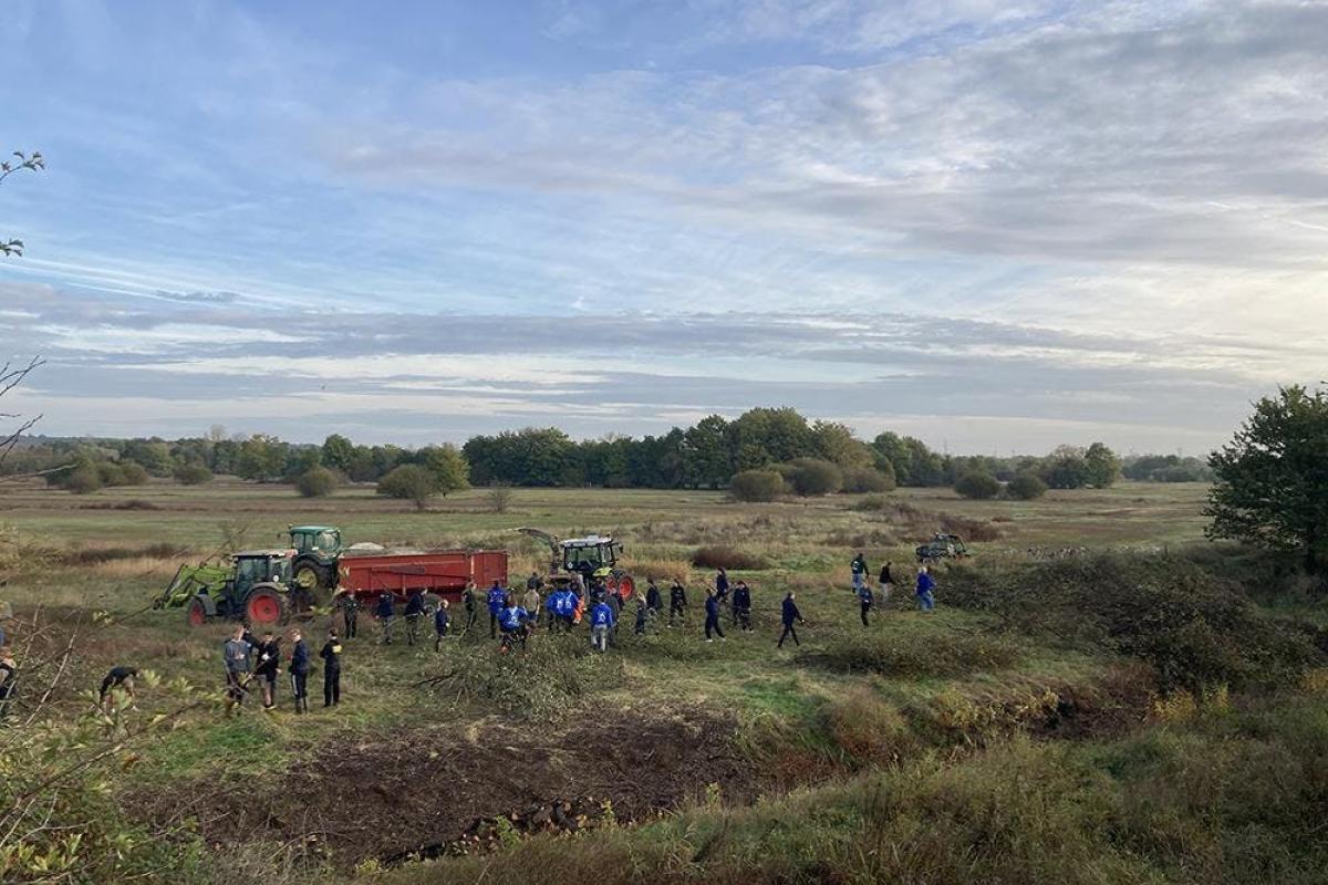 Beheervoormiddag Schulensbroek © Vrienden van het Schulensbroek