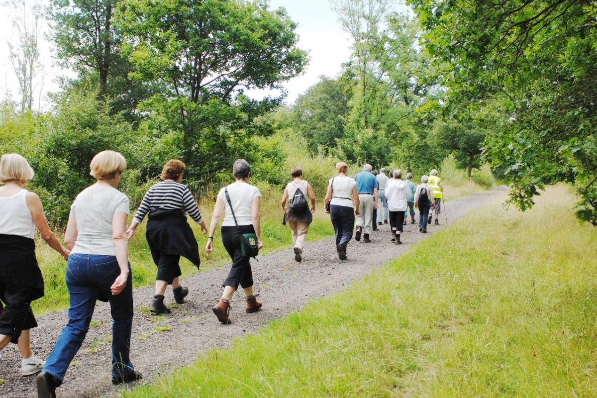 Maandelijkse wandeling - Meldert © shutterstock