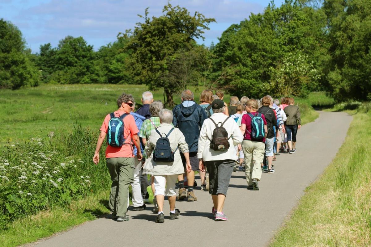 Maandelijkse wandeling - Wijer © shutterstock