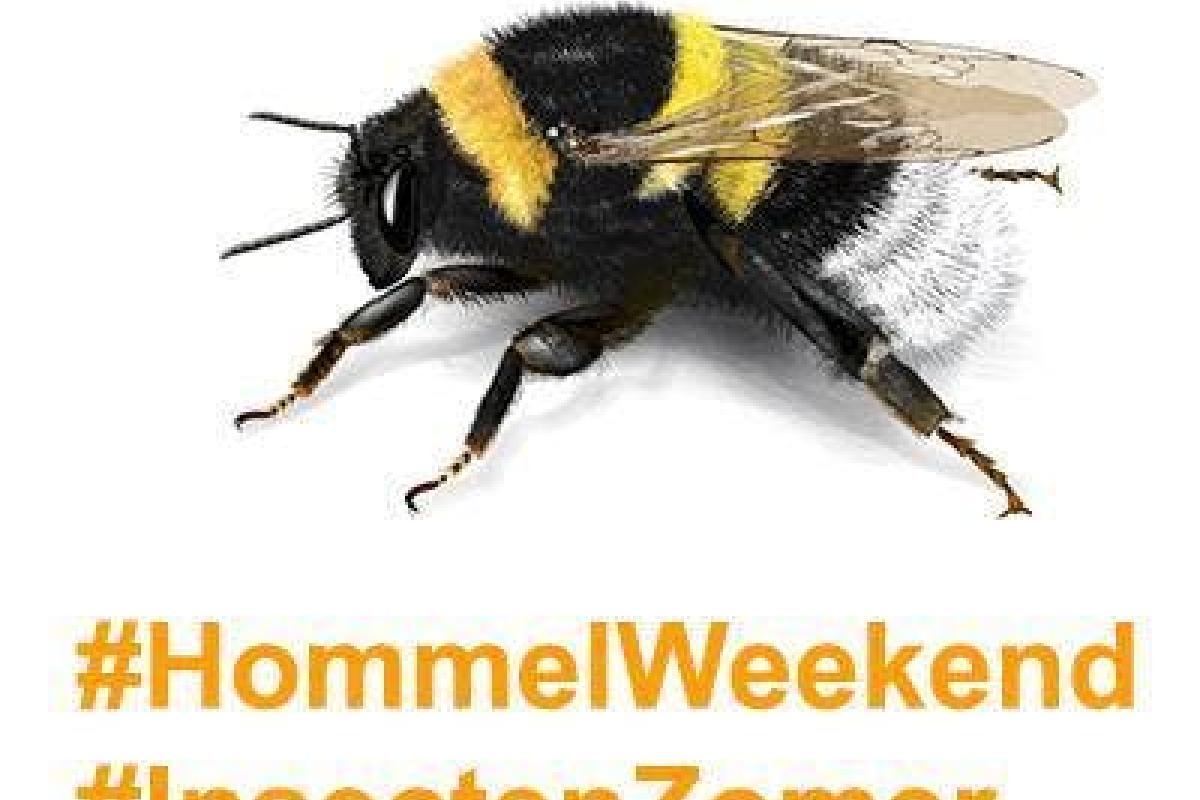 Hommelzoektocht Schulensmeer en Schulensbroek © Natuurpunt
