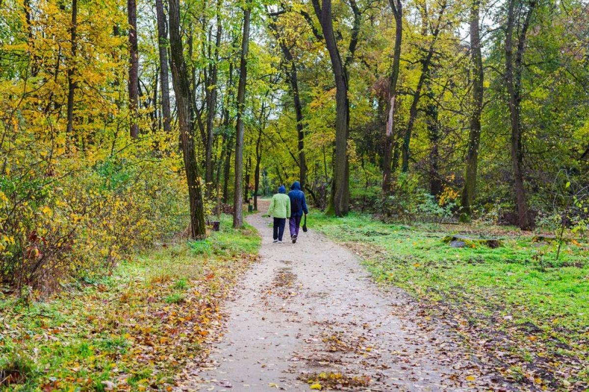 Maandelijkse wandeling - kanaalroute Genenbos © shutterstock Maandelijkse wandeling - kanaalroute Genenbos © shutterstock