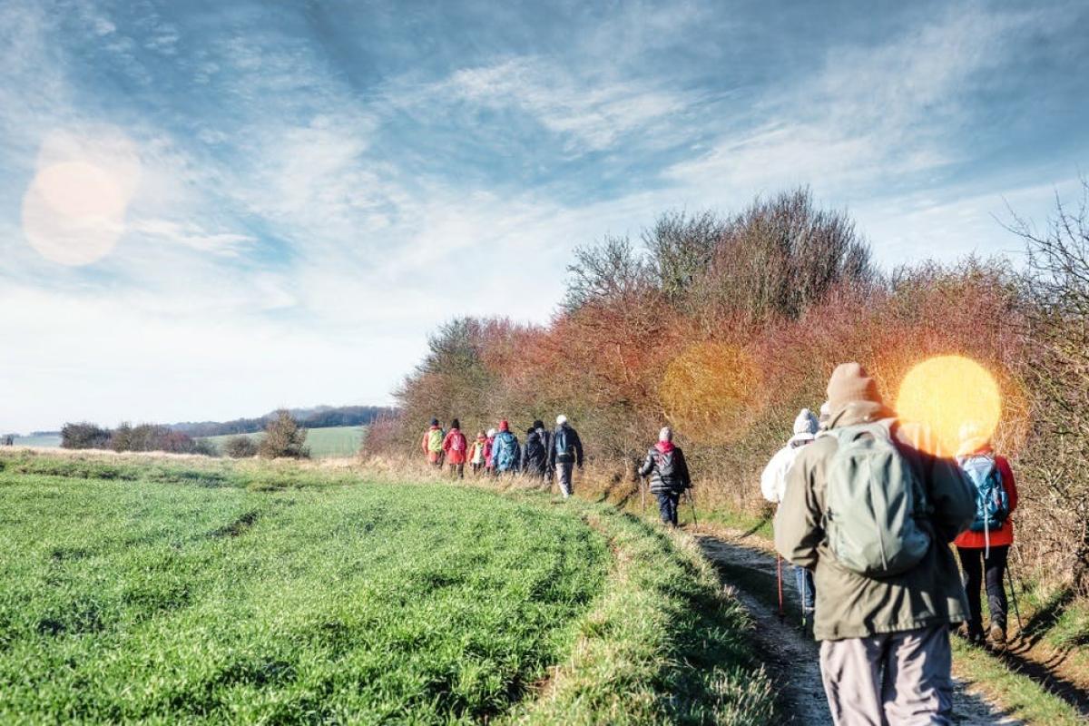 Maandelijkse wandeling - Domein Bovy © shutterstock Maandelijkse wandeling - Domein Bovy © shutterstock