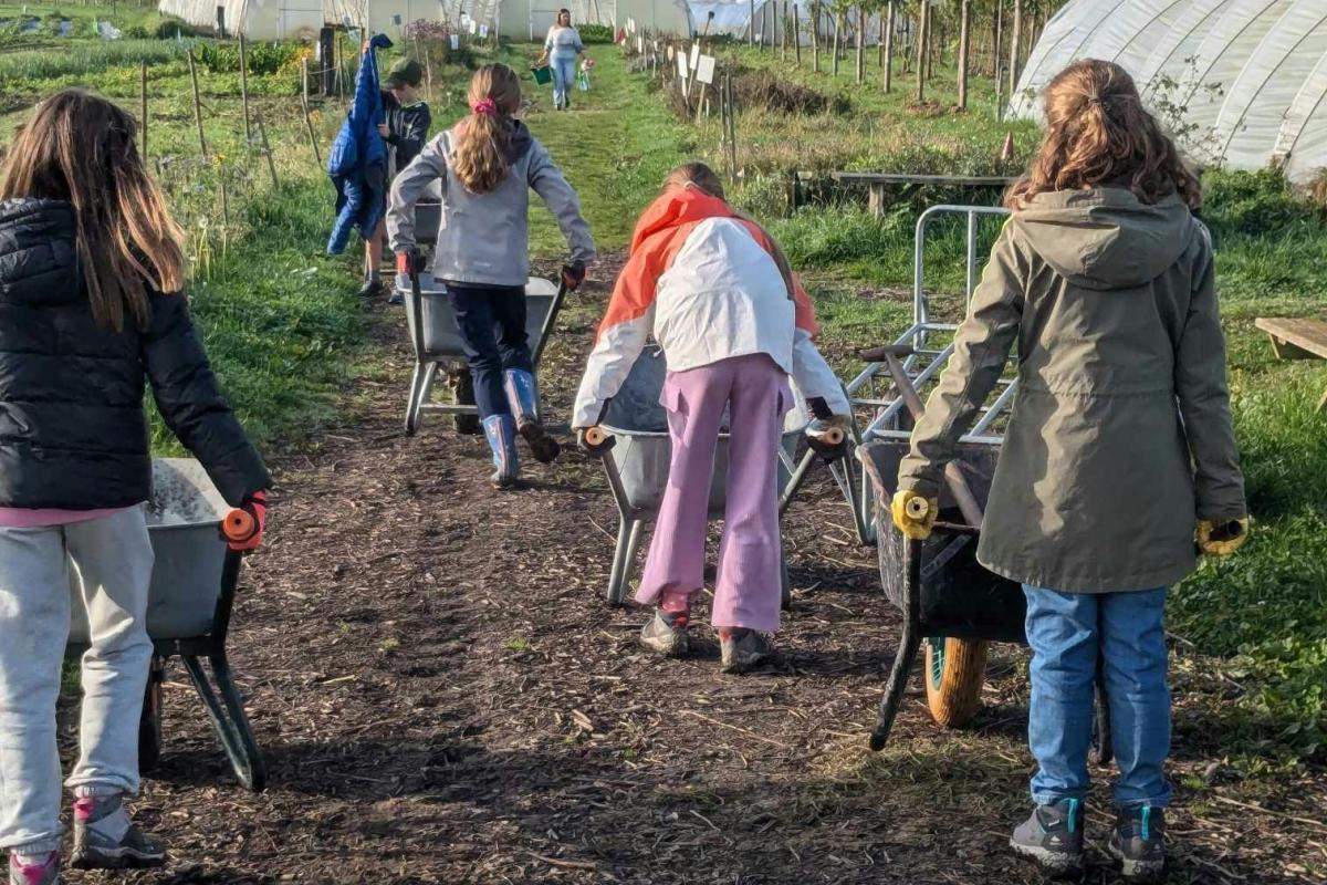 Groene vingers en creatieve kriebels! © Natasja Raymaekers