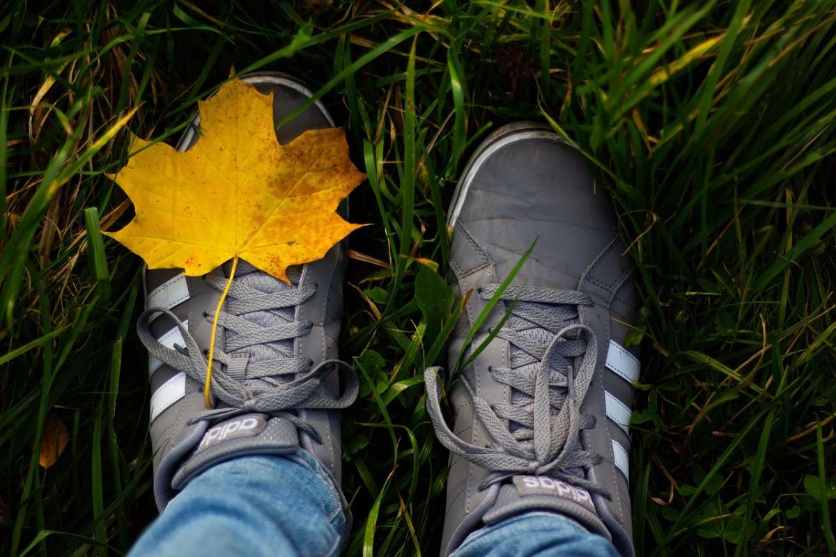 Herfstwandeling © Gezinsbond VZW