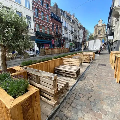terras